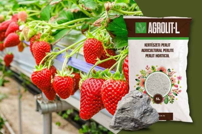 az Agrolit kertészeti perlit minden olyan tulajdonsággal rendelkezik, ami sikeressé teszi a hidroponikus termesztést